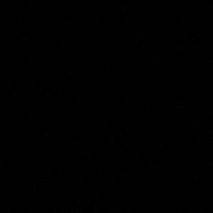 Meet your Posher, Shayla